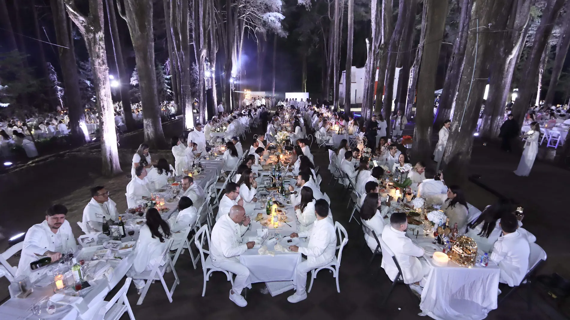 DINER EN BLANC-06